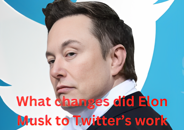 What changes did Elon Musk to Twitter’s work culture?